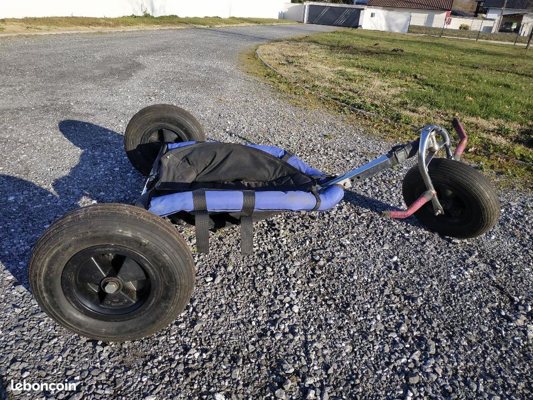 Buggy kite (image 3)