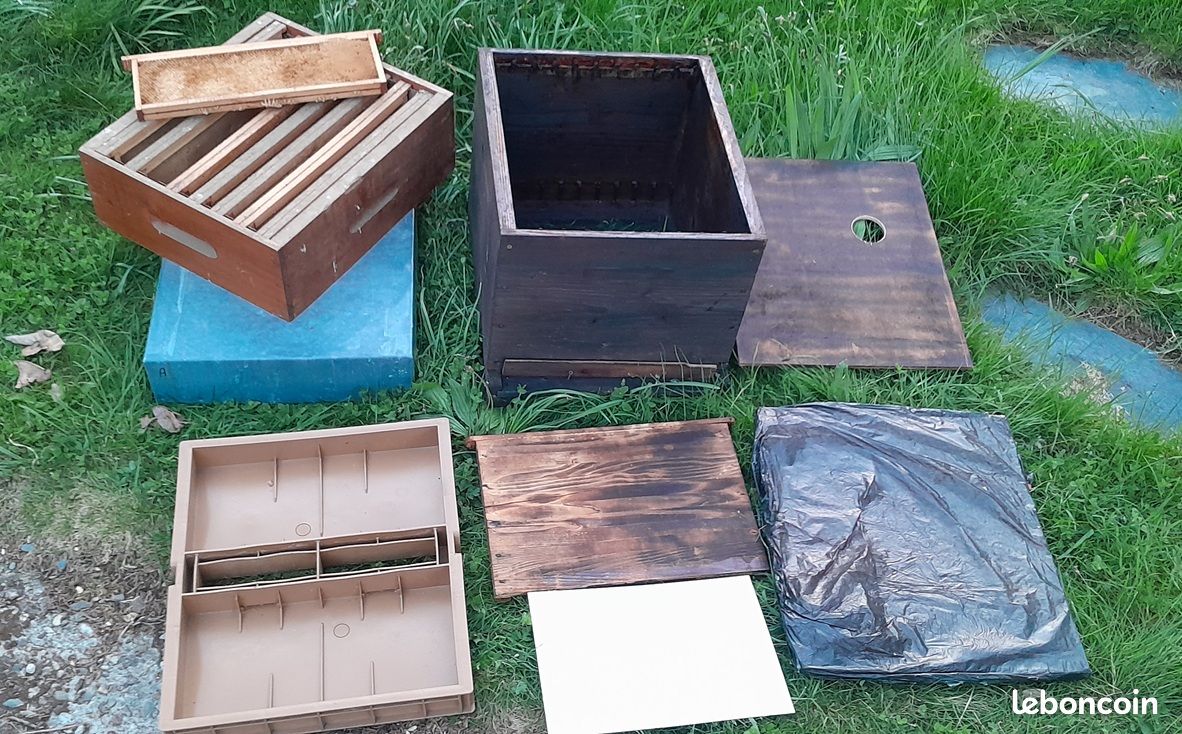 Ruche complète Dadant 10 cadres avec hausse, cadres et nourrisseur - stock 11 ruches (image 3)