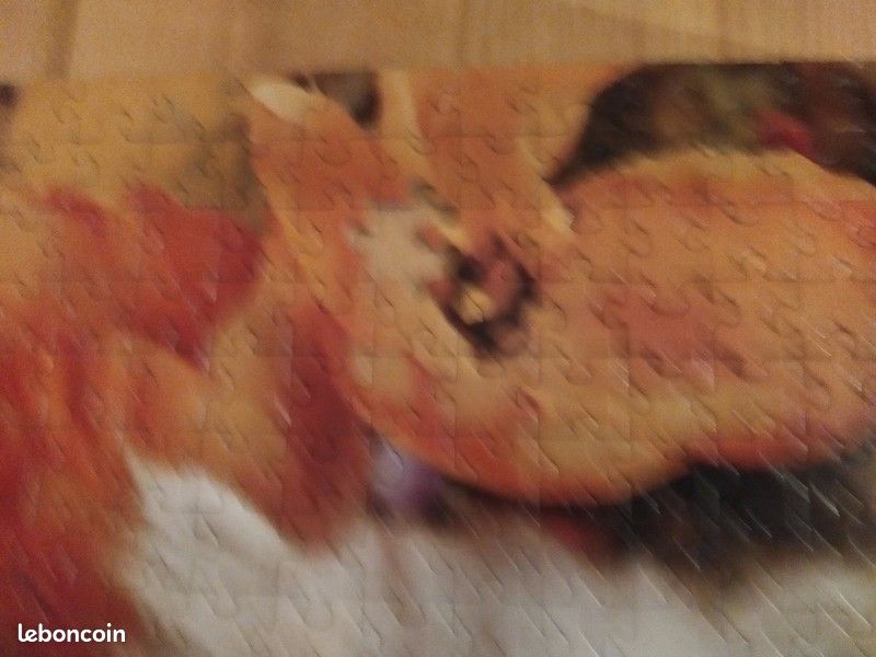 Puzzle chat 500 (image 5)