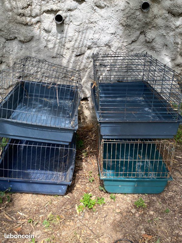 Cages lapin , cochon d Inde (image 1)