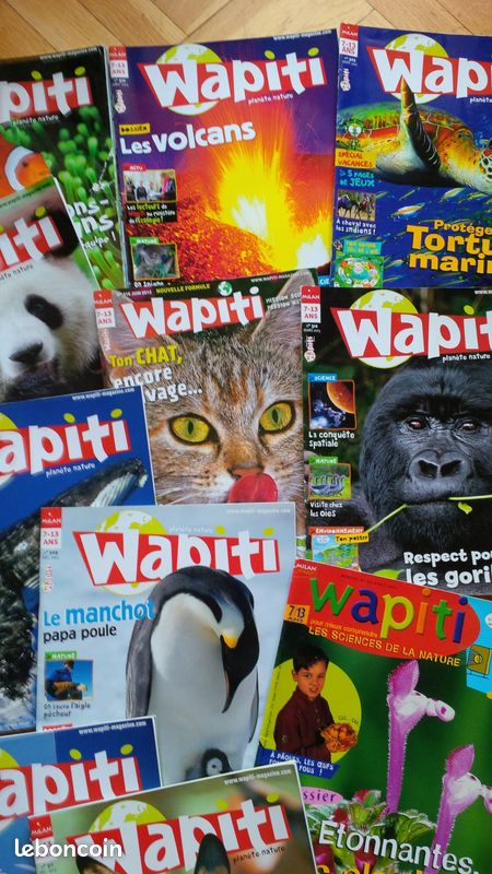 Magazines enfants/Ados : Wapiti, Sciences & Vie Jr - Maximum.. (image 12)