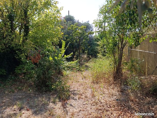MARSEILLE 11e – LA POMME – MAISON INDIVIDUELLE AVEC JARDIN ET FORT POTENTIEL — 5