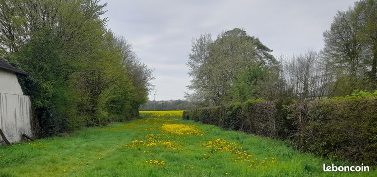 TERRAIN A BATIR Campagne