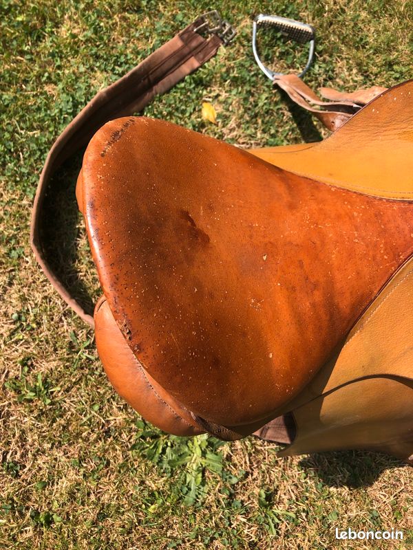 Selle de cheval (image 4)
