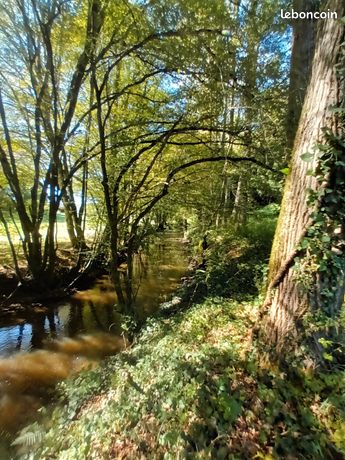Terrain 8700m2 SOUAL