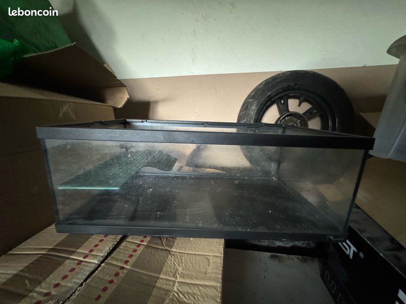 Aquarium (image 2)