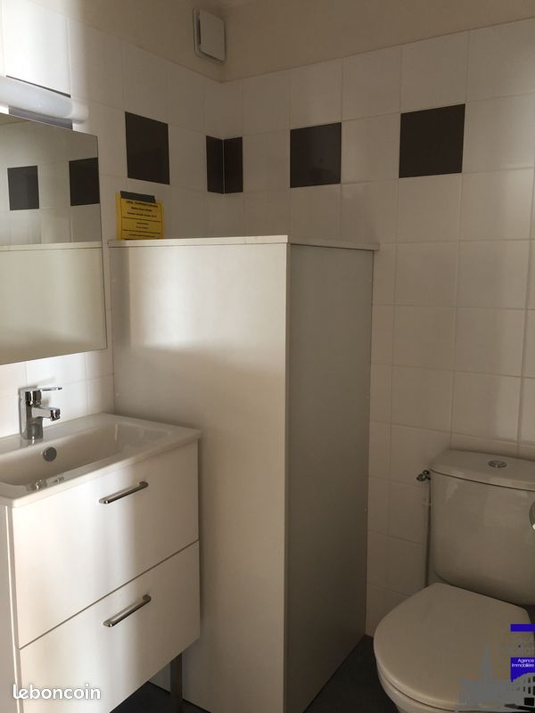 Appartement 1 pièce 43 m² - Tulle 19000 (image 3)
