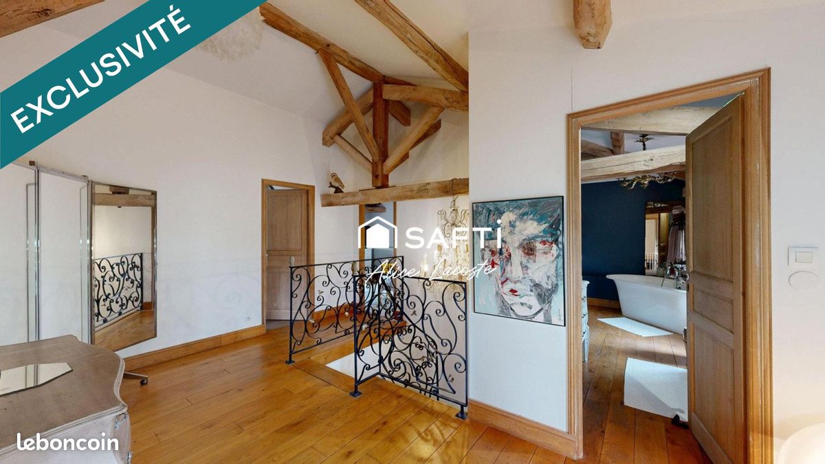 Propriété 11 pièces 342 m² (image 7)