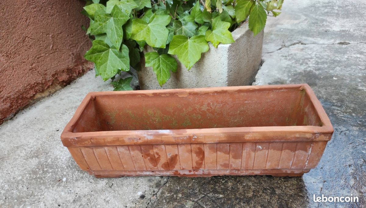 Jardinière pot de fleur plante en terre cuite vintage (image 3)