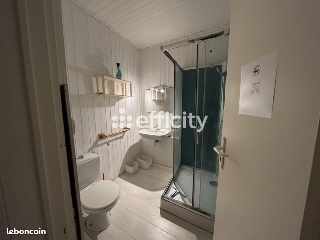 Maison 10 pièces 255 m² (image 9)