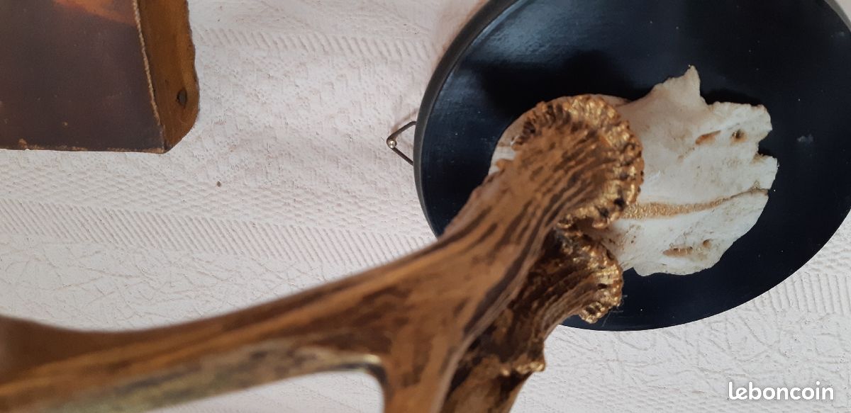 Trophée déco (image 3)