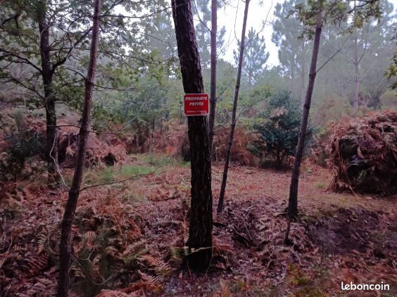 Terrain forestier bassin d’Arcachon · à Lanton · 69 000 €