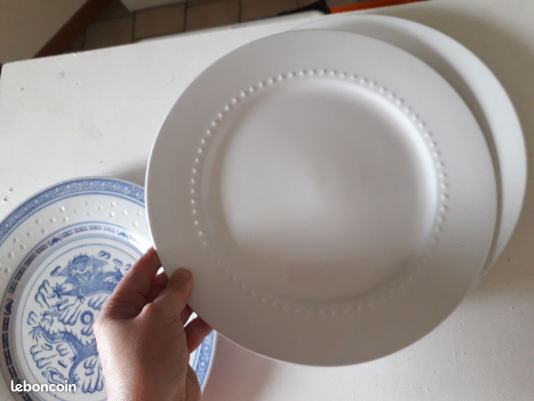 Lot3 De 6 Grandes Assiettes En Demi Porcelaine Signée FB Décor Floral D 235 Cm Imgx1200 4732