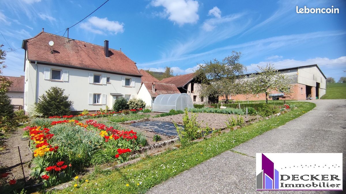Maison 6 pièces 162 m² · à Zinswiller · 162 m² · 420 000 €