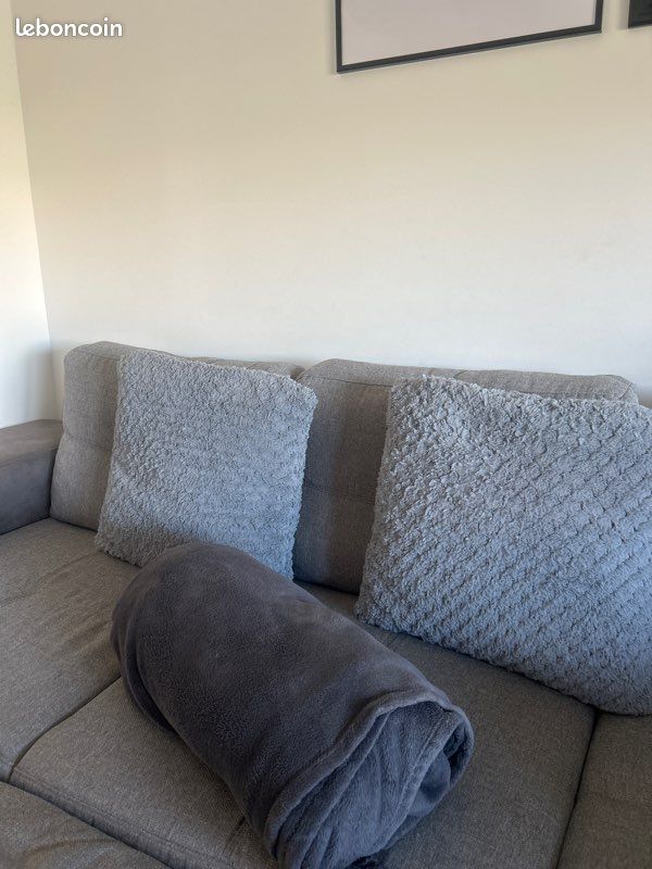 Canapé gris (image 13)