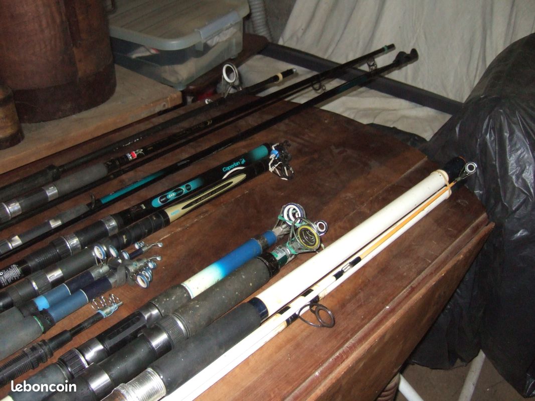 Cannes à pêche carpe, truites, brochet (image 1)