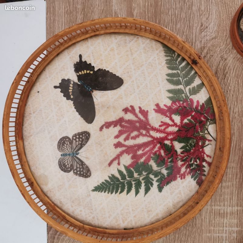 Plateau en rotin. Papillons. 4 sous verres (image 2)