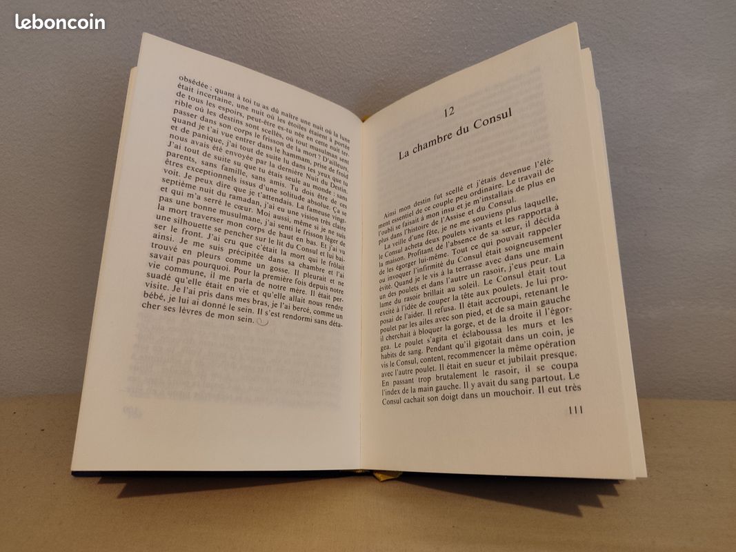 La nuit sacrée - Tahar Ben Jelloun (image 5)