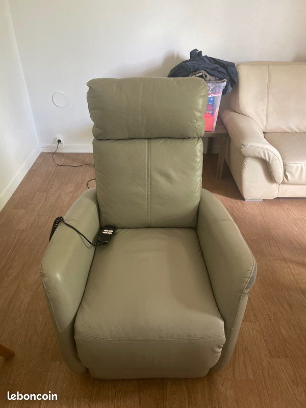 Fauteuil en cuir électrique (image 1)