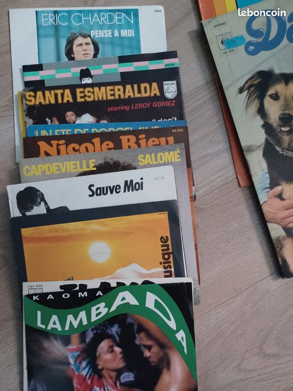 Anciens disques vinyles (image 2)