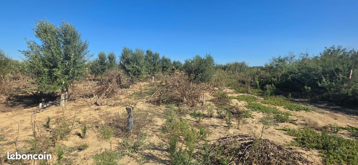 Terrain agricole 15 115 m² Aimargues · 79 000 €