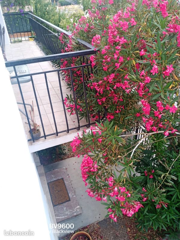 Maison 7 pièces 220 m² · à Perpignan · 220 m² · 1 290 €/mois
