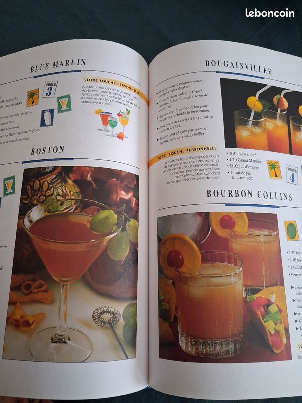Tout savoir sur les cocktails (image 14)