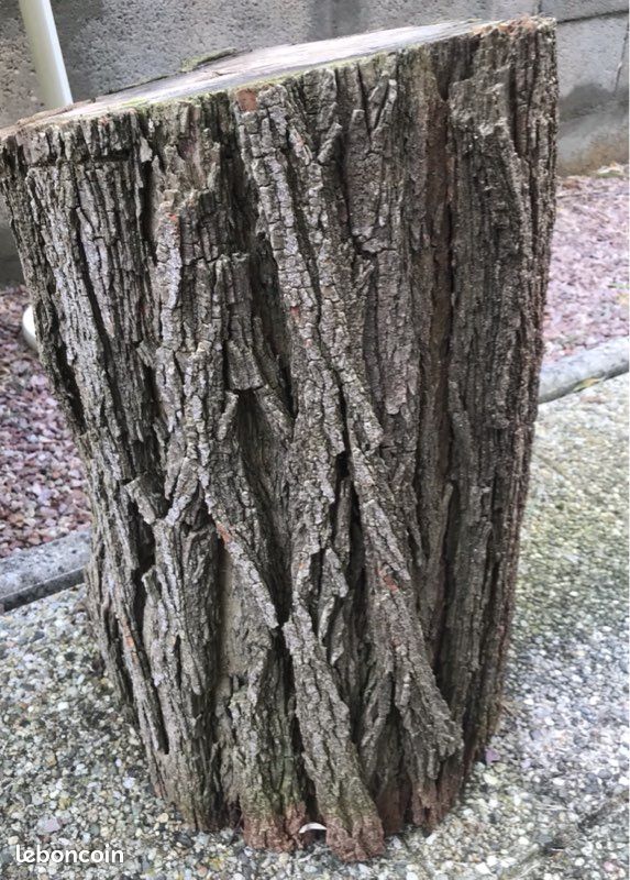 Billot de bois d’acacia pour fendre ou déco … (image 1)