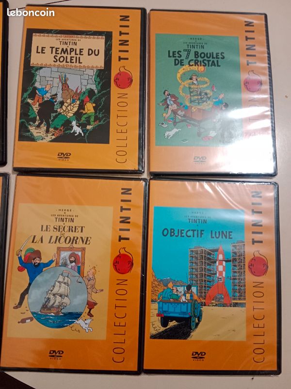 DVD Tintin (image 2)