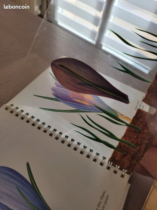 Livre "la fleur" (image 4)
