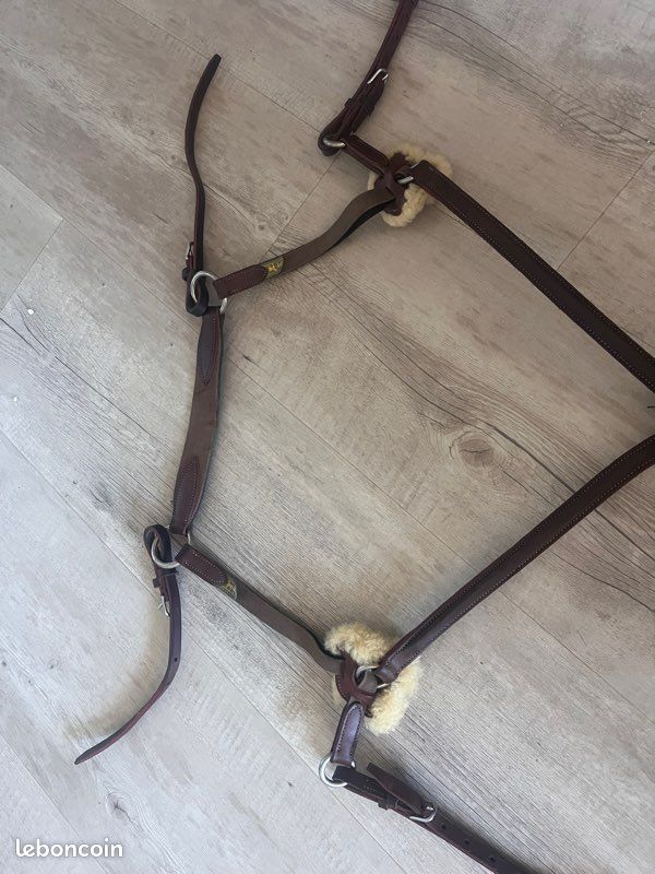 Ring Martingale | Dy'on US JUMPING Collection – Équitavi