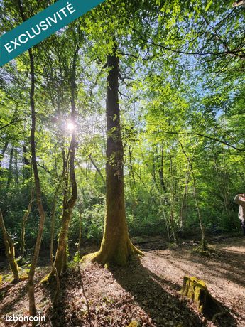 Terrain 112279 m² CAZAUBON