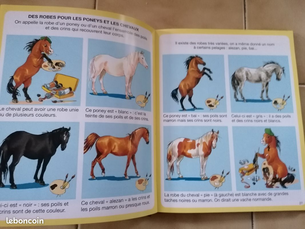 Poney Nom Des Robes Des Chevaux Toutes Les Robes Des Chevaux 2025