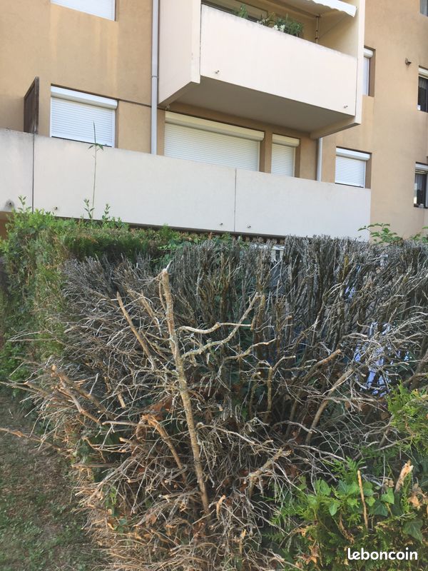 Appartement 2 pièces 47 m² · à Albertville · 47 m² · 610 €/mois