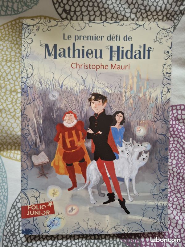 Le premier défi de Mathieu Hidalf - A partir de 10 ans - Christophe Mauri (image 1)