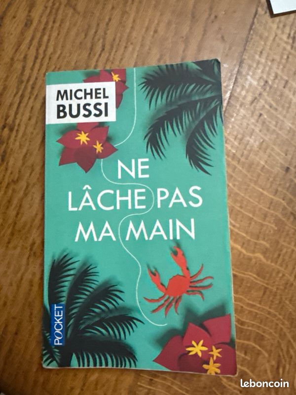 Livre : ne lâche pas ma main (image 1)