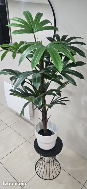Plantes artificielles (image 2)