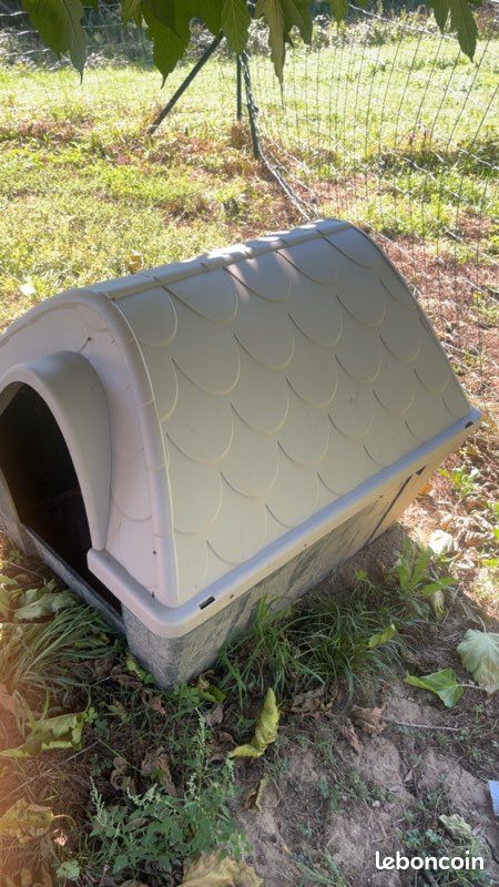 Niche chien (image 1)
