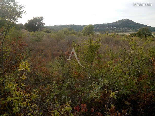 Terrain 5505 m² SAINT JULIEN