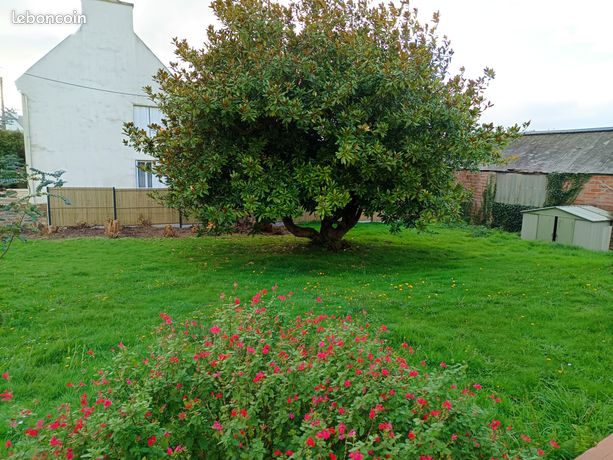 Terrain 441 m² Lesneven