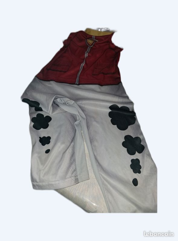 Costume pat patrouille (image 1)