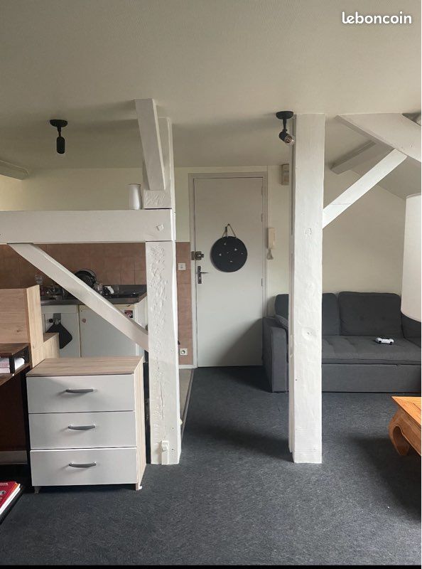 APPARTEMENT type loft secteur Sablard - Limoges 87000 (image principale 2)