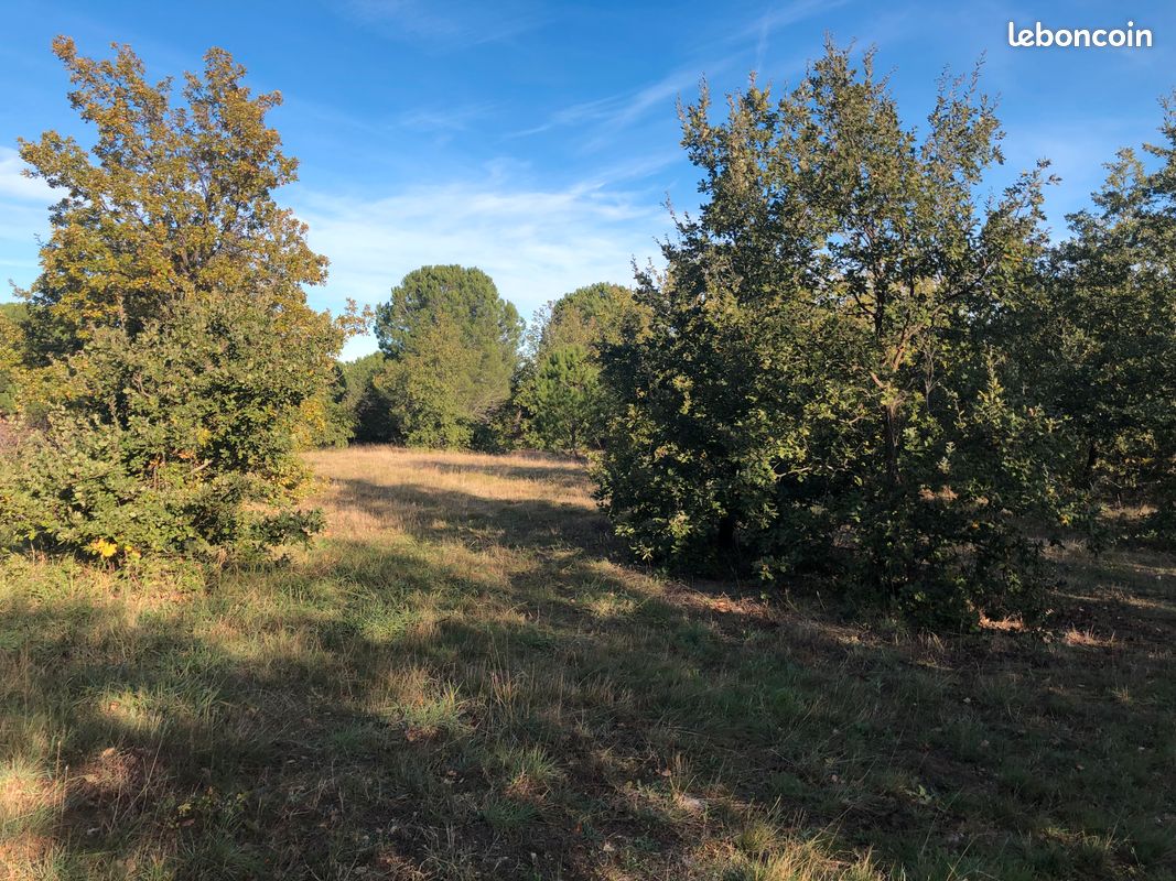 Terrain agricole - 4 hectares constructible pour agriculteur · à Villemolaque · 120 000 €