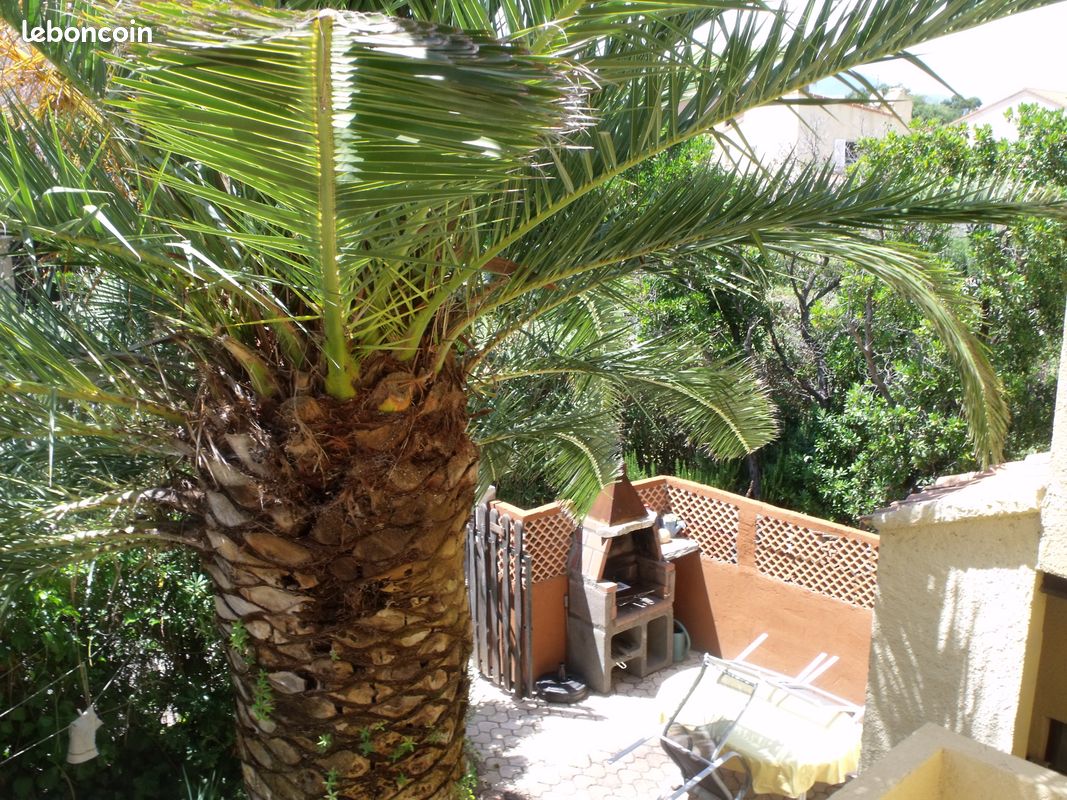 Villa bord de mer située à la marine de Bravone (image 5)