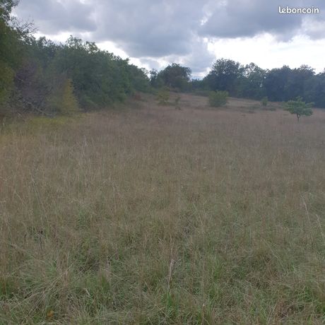 Terrain agricole à promilhanes (lot)