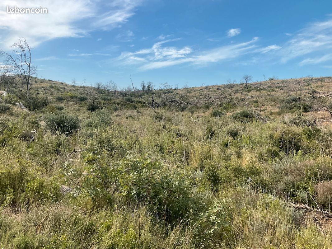 Terrain 3374 m2 Montagnette · à Barbentane · 10 000 €