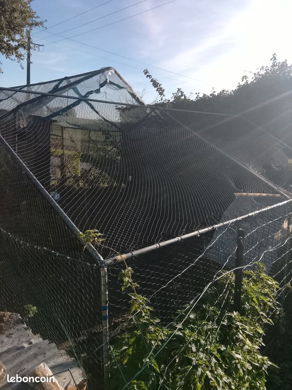 Enclos a poule (image 1)
