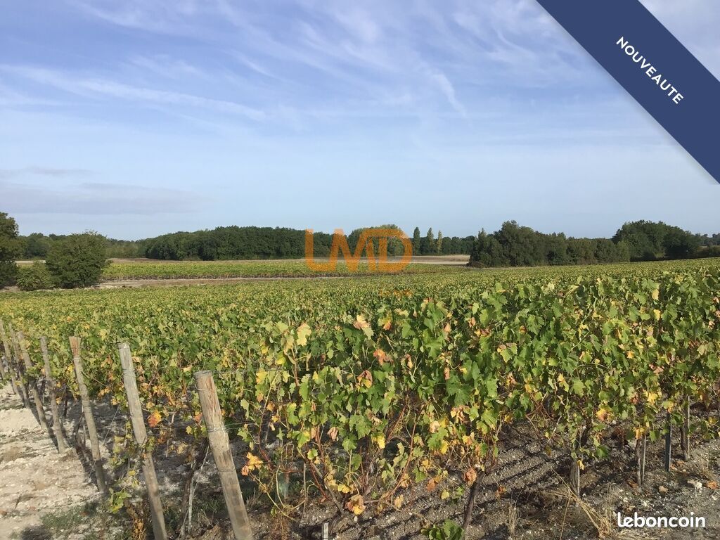 Terrain 28000 m² Saint-Palais-Du-Né · 91 000 €
