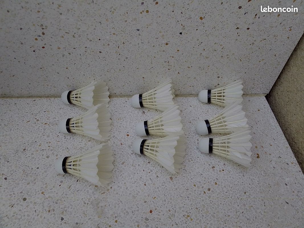 Raquette Tennis Head (avec 7 balles) + Raquette Badminton Babolar (avec 9 volants) + Sac Rangement (image 6)