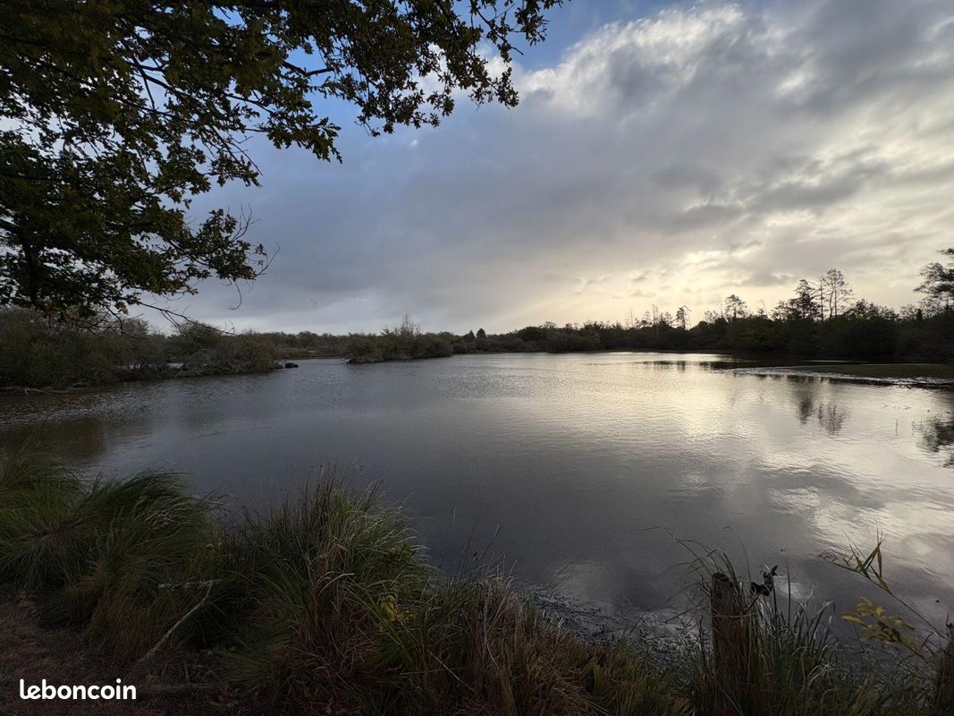 Terrain Mézières-en-Brenne · 424 000 €